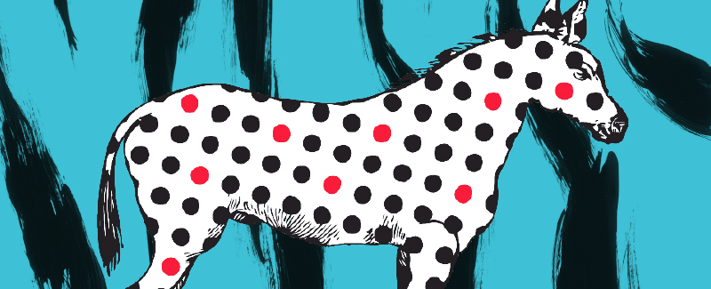 Spotted Zebra Brand Workbook