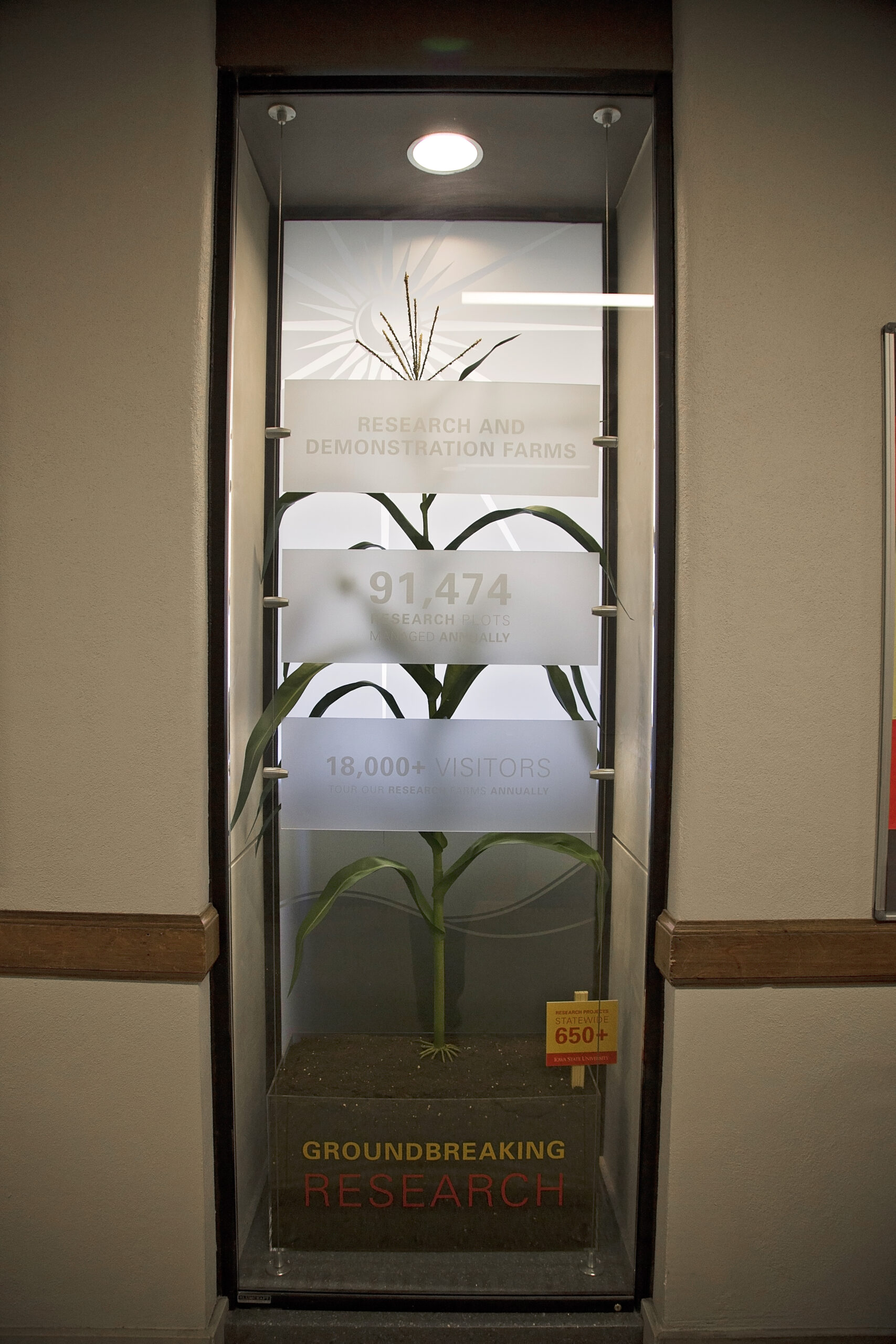 Work Image