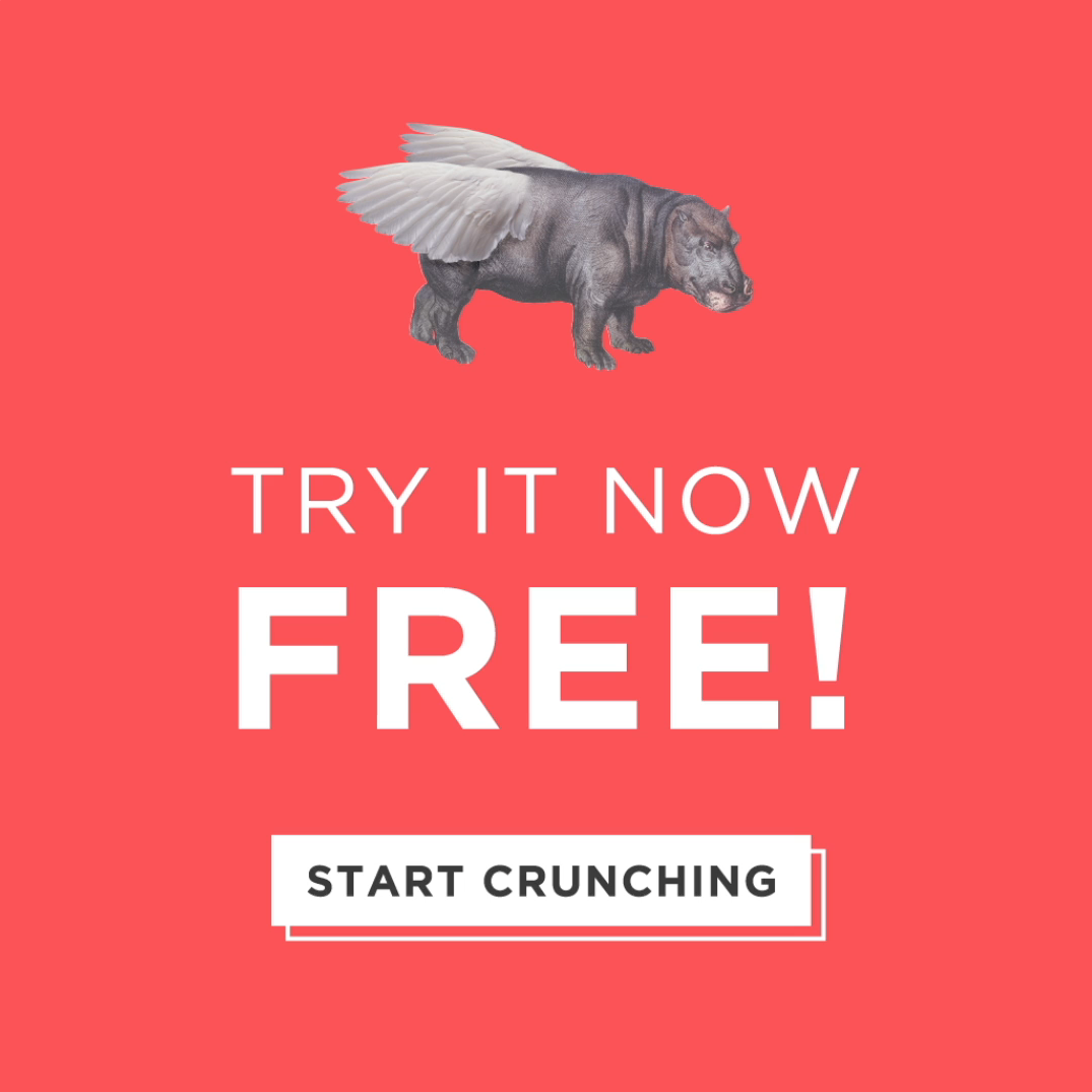 Flying Hippo